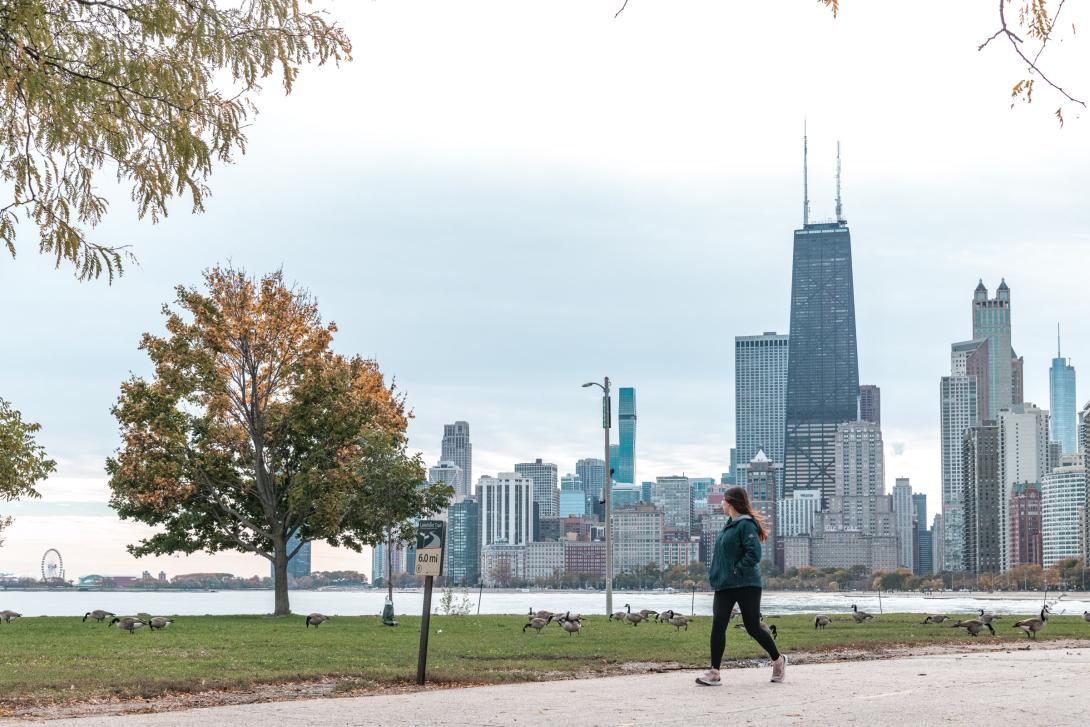 The skyline of Chicago pictured from a park path