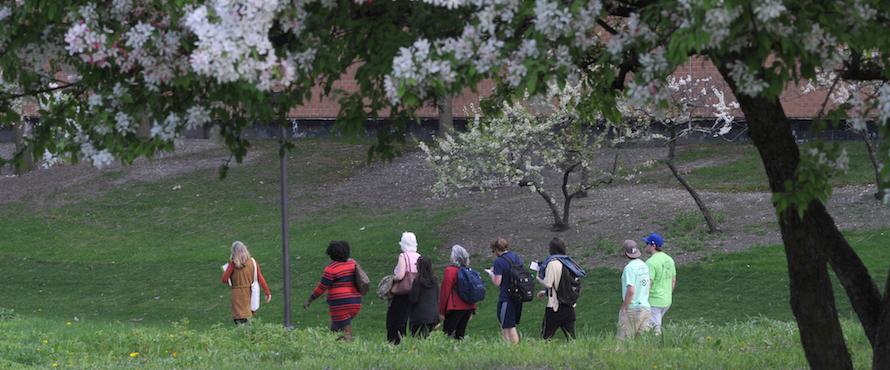 Photo of a group of people walking around Northeastern's campus with trees in bloom. 