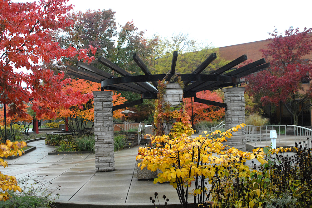 Trees in autum color surround the pavilion in the B building courtyard 