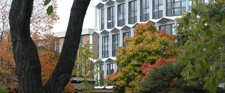 Trees in autumn color in the foreground partially obscure the Sachs Building in the background