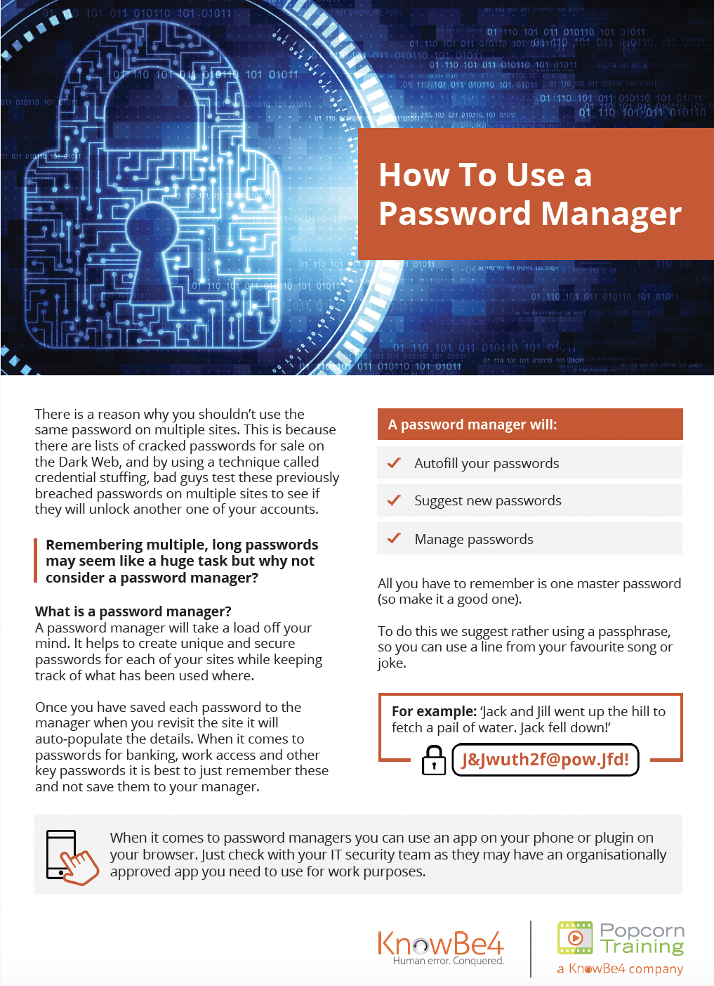 How to use password manager graphic