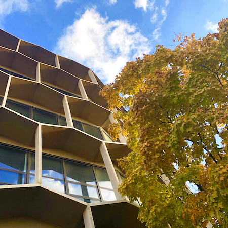 The Sach Building as seen from below with trees in autumn color in the foreground